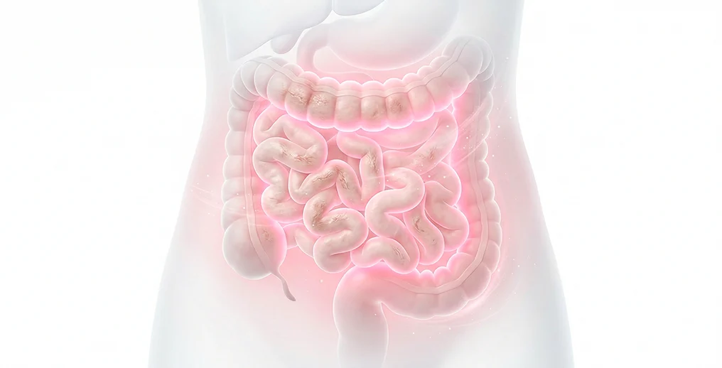 Ação Diva Slim Manhã