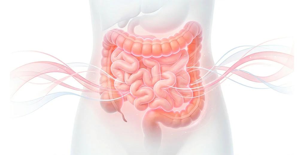 Ação Diva Slim Noite